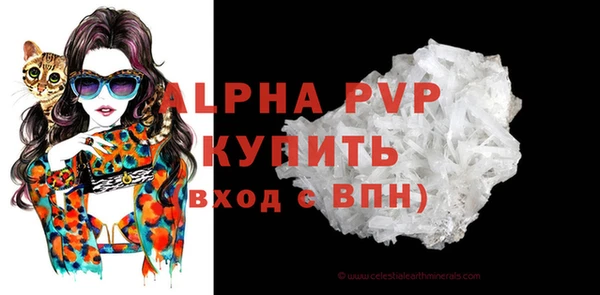 молекула духа Фёдоровский