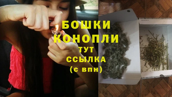 ALPHA PVP Касимов