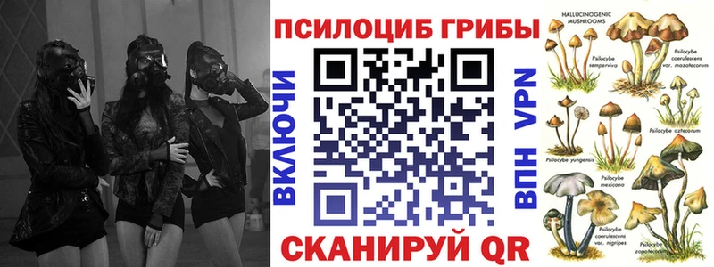 Купить закладки  Маркс  Псилоцибиновые грибы мухоморы 